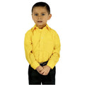 Camisa De Vestir Infantil Juvenil Amarillo Mango 2 A 16 #mlpos_2 | Color: Mango - Rodolfo #color_mango_-_rodolfo #sku_rvmng02 #sku_rvmng04 #sku_rvmng06 #sku_rvmng08 #sku_rvmng10 #sku_rvmng12 #sku_rvmng14 #sku_rvmng16