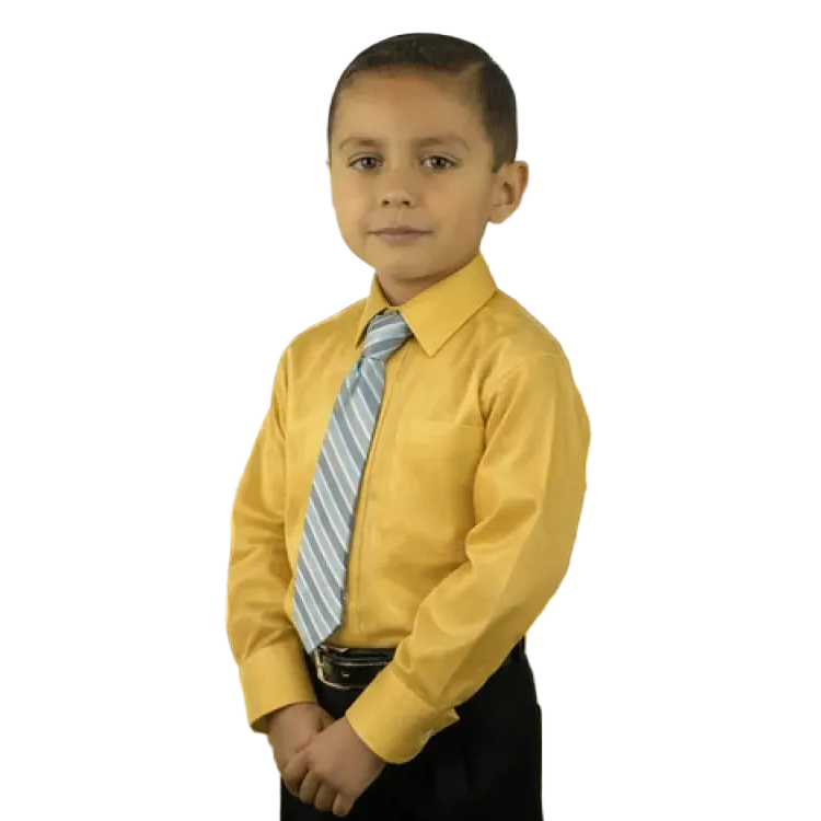 Camisa Vestir Infantil Juvenil Escolar Dorado Oro 2 A 16 #mlpos_1 | Color: Oro #color_oro #sku_rvor02 #sku_rvor04 #sku_rvor06 #sku_rvor08 #sku_rvor10 #sku_rvor12 #sku_rvor14 #sku_rvor16