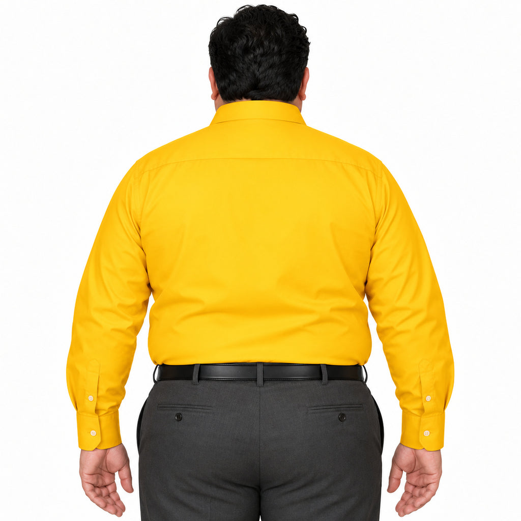 Camisa de vestir Rodolfo Valentini para hombre mango, espalda fajada