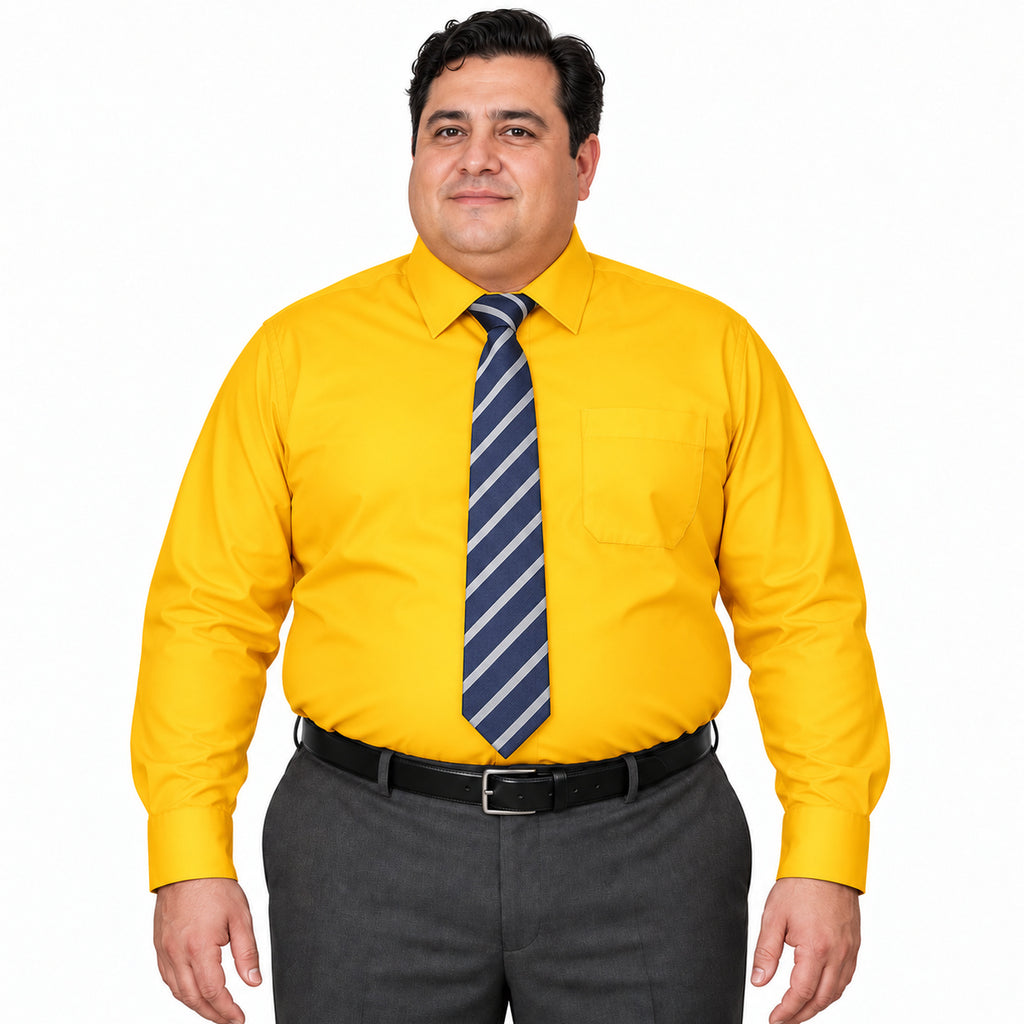 Camisa de vestir Rodolfo Valentini para hombre mango, frontal fajada con corbata de rayas diagonales